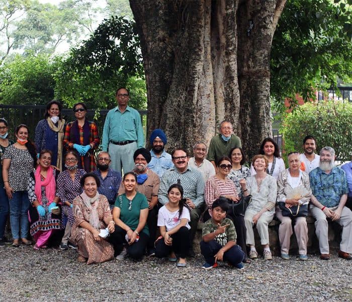 Tree Plantation