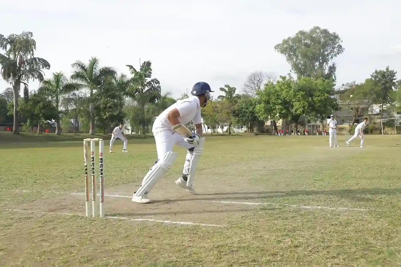 Cricket at CBS image 8