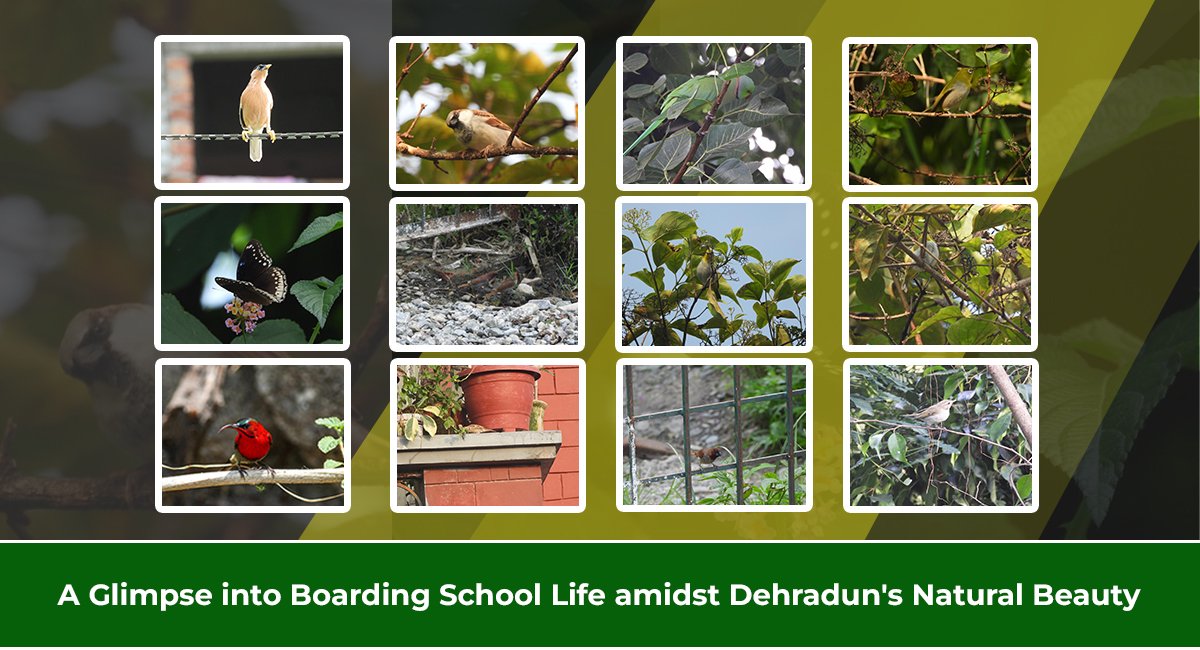 A Glimpse into Boarding School Life amidst Dehradun’s Natural Beauty